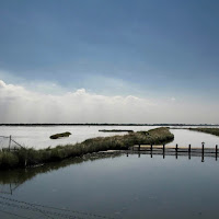 Il cormorano e la valle di 