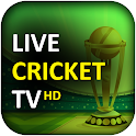Icon Cricket Live Score - WC 2k23