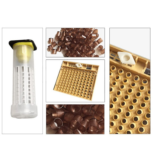 Title 4, Queen bee breeding system cultivation box – Rai...