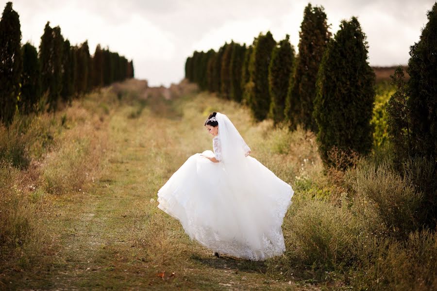 Photographe de mariage Andrey Grishin (comrade). Photo du 3 novembre 2016