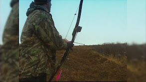 Standing Grizzly Bear With a Recurve thumbnail