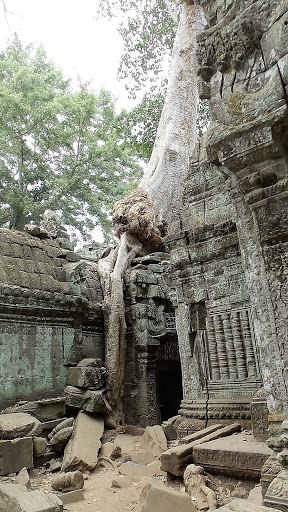 Tomb Raider Movie Temple (Ta Prohm) Cambodia 2016