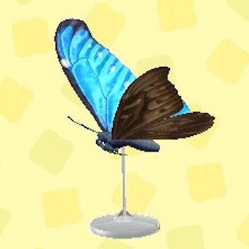 あつ森 モルフォチョウのもけい の入手方法 あつまれどうぶつの森攻略wiki 神ゲー攻略