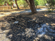 The remains of a burnt-out car are still present behind the Diep River railway station in Cape Town. 