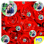 Cover Image of Download Rose Bubble Live Wallpaper 1.0 APK