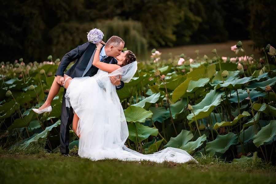 Fotógrafo de casamento Torjay Attila (torjayattila). Foto de 17 de setembro 2023