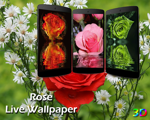 Rose Live Wallpaper 3D