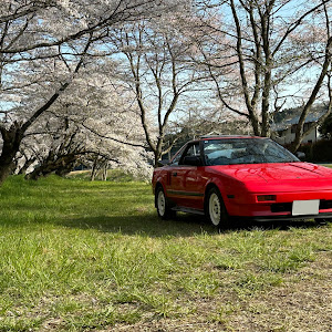 MR2 AW11