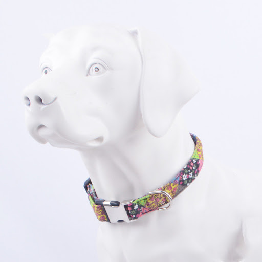 Title 4, Ethnic style half metal dog collar. Durable, st...