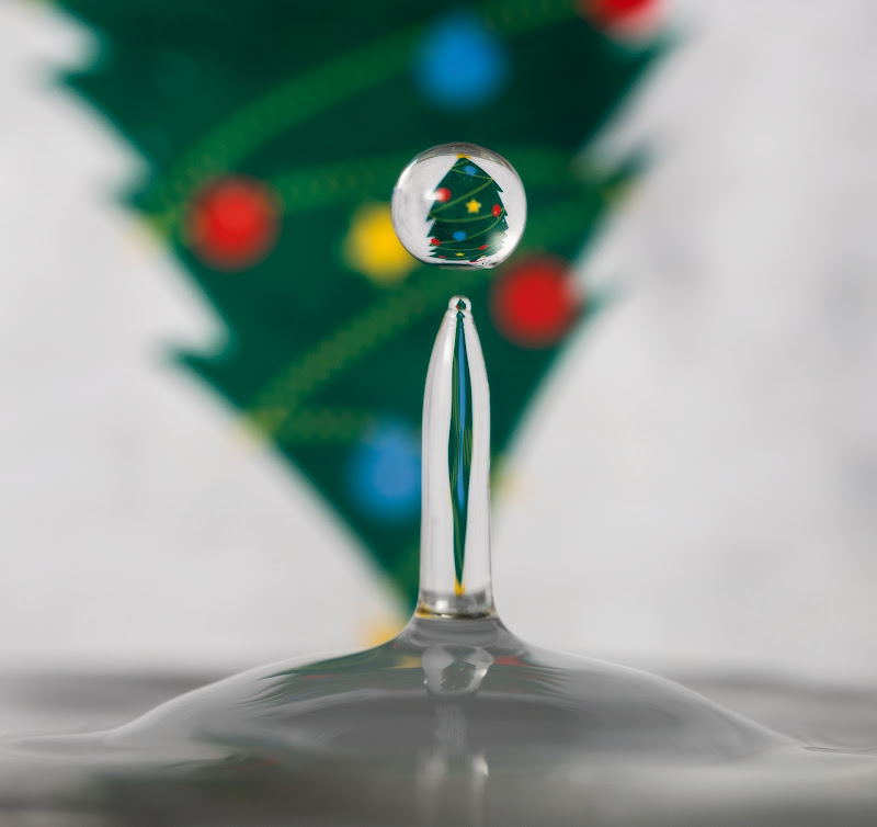 water drop christmas tree di francesco_parini