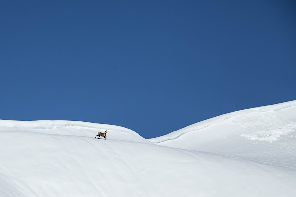 Gran Sasso di David Marrone