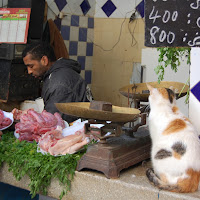 In macelleria di 