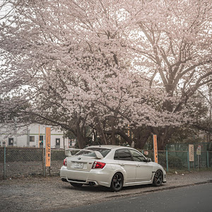 インプレッサ WRX STI GVB