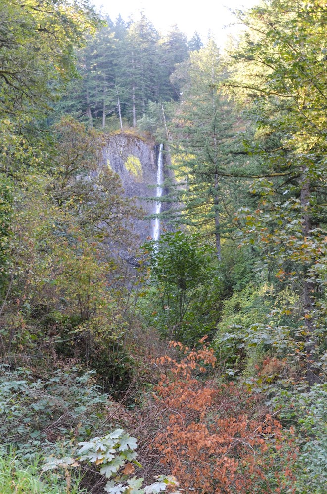 Latourell Falls