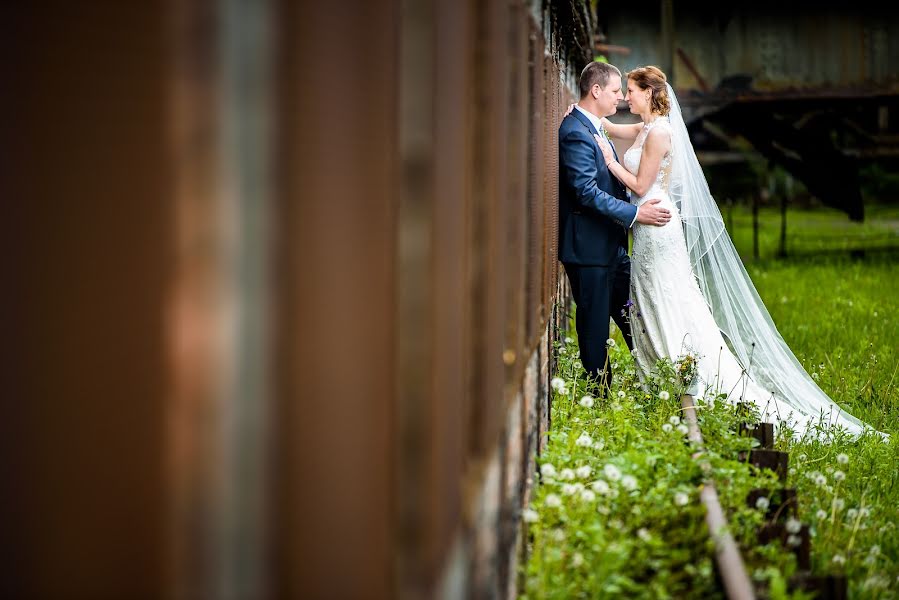 Hochzeitsfotograf Reza Shadab (shadab). Foto vom 22. Februar 2018