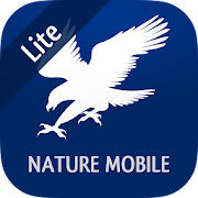 iKnow Birds 2 LITE - USA CA MX  Icon