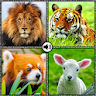 Animal sounds with pictures icon