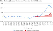 How numbers of reported Covid-19 deaths and SAMRC estimates of excess deaths have diverged - first during lockdown when excess deaths were a negative number, then when lockdown eased and they soared.