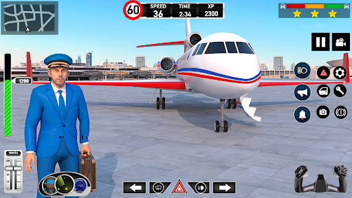 Screenshot Plane Pilot Flight Simulator