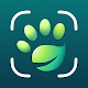 NatureID: Identify plant, flower, tree, cat & dog! Download on Windows