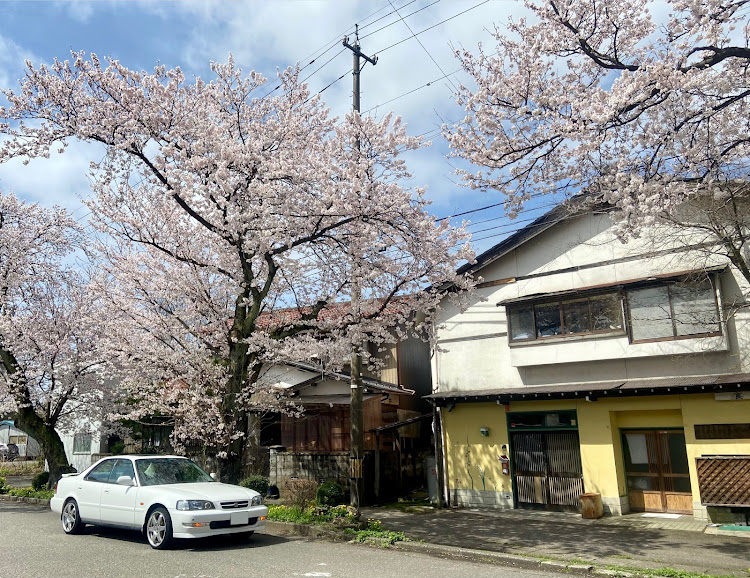 の投稿画像6枚目