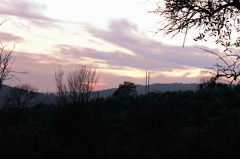 Tramonto Dicembrino di leo1cippe