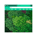 Green Peaceful Ambience Theme Chrome extension download