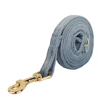Leash