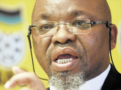 ANC secretary-general Gwede Mantashe. File photo.