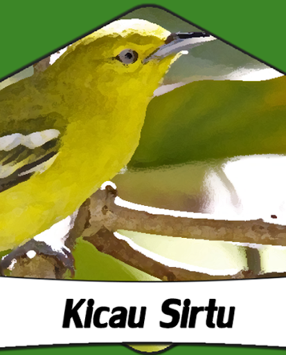 Download Suara Burung Dudut Betina - Download lagu terbaru ...