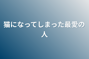 猫になってしまった最愛の人