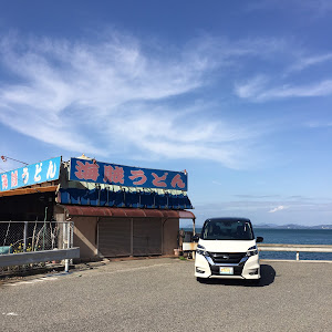セレナ GFC27
