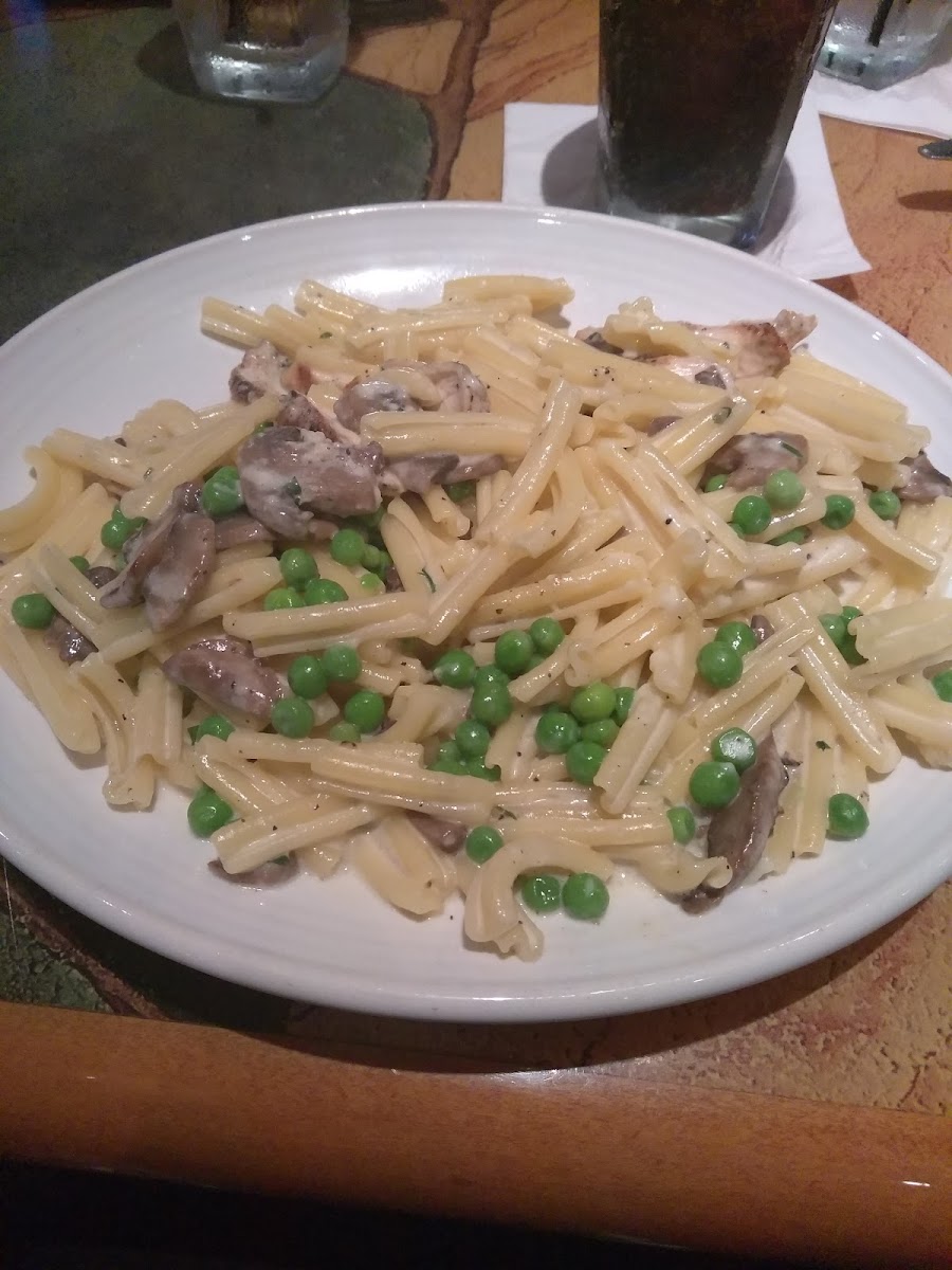 Gluten-Free at Carrabba's