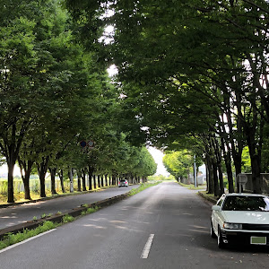 カローラレビン AE86