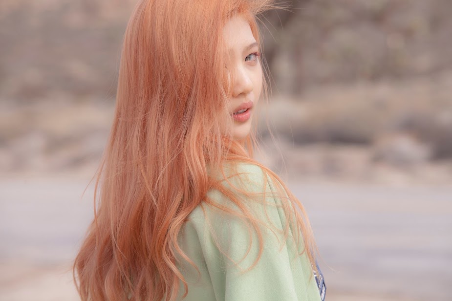 redvelvet-joy