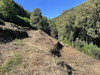 terrain à batir à San-Martino-di-Lota (2B)