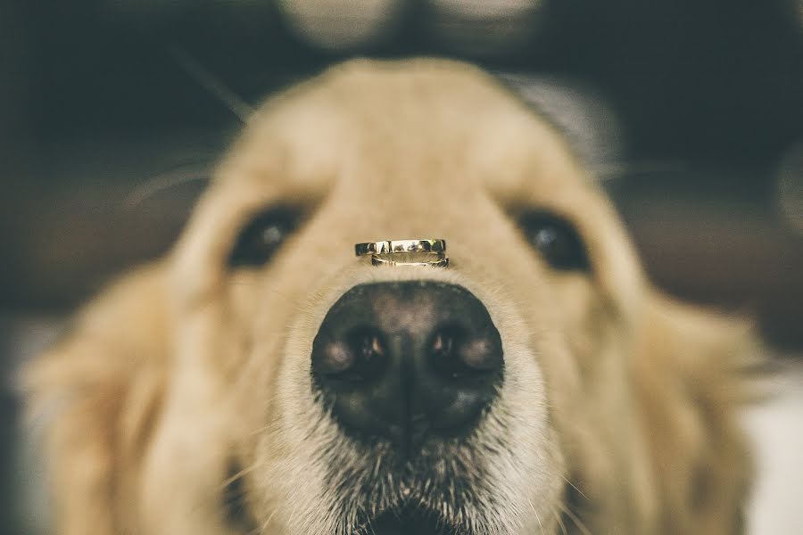 Photographe de mariage Torin Zanette (torinzanette). Photo du 28 avril 2015