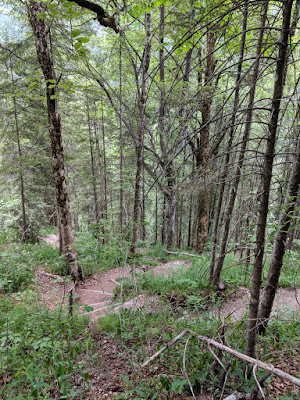 Steep ascent in the forest right from the parking lot