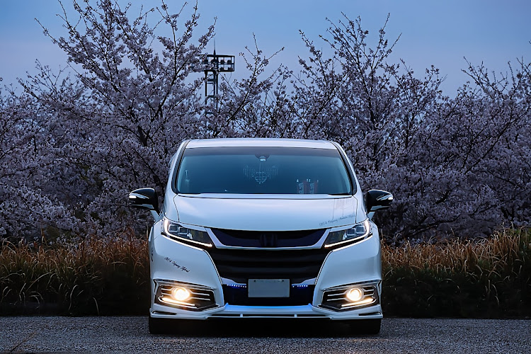 オデッセイのピックアップに選ばれたことない車・サクラと愛車・いつもイイネ&コメントありがとうございます🙇‍♂️・カメラのある生活楽しいに関するカスタム事例の投稿画像1枚目