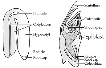 Solution Image