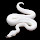 White Snake Wallpapers HD Theme