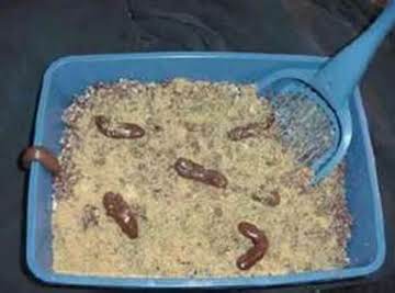 KITTY LITTER CAKE