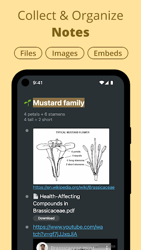 Screenshot Workflowy |Note, List, Outline