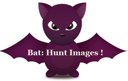 Bat! Images Hunter chrome extension