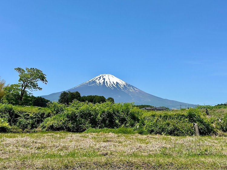 の投稿画像4枚目