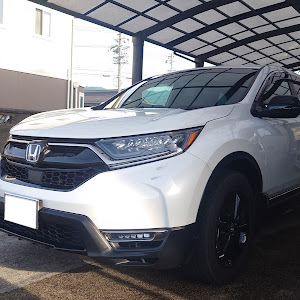 CR-V RT6