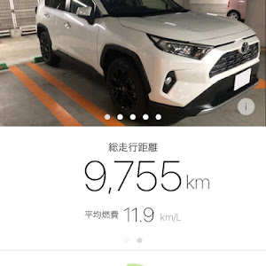 RAV4 MXAA54