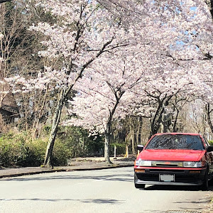 カローラレビン AE86