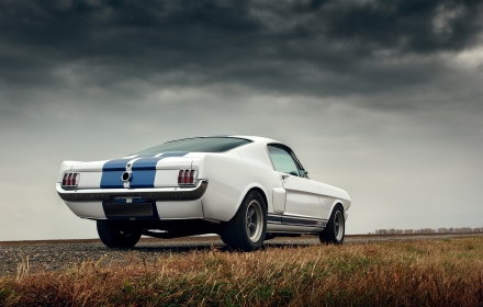 GT350 small promo image