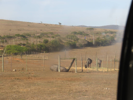 Helicopter Tour on the coast of South Africa 2017